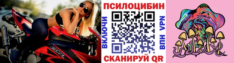 нарко площадка Telegram Западная Двина Галлюциногенные грибы MAGIC MUSHROOMS